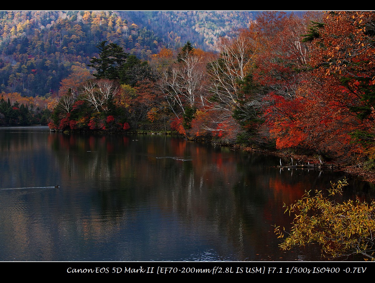 2012-10-27-nikko-IMG_5489.jpg