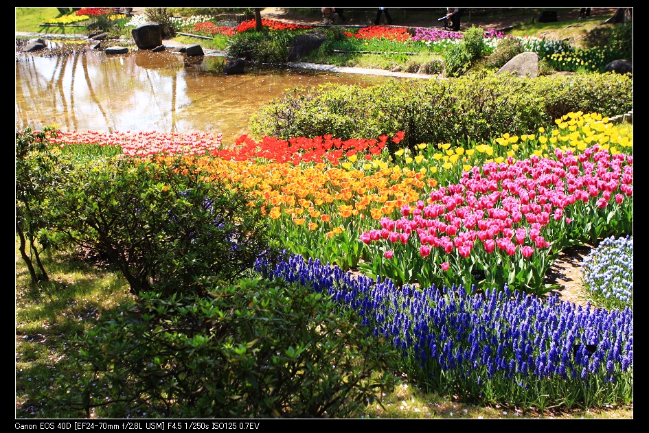 2009-04-11-flower-01.jpg