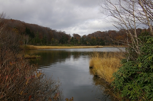 秋色里沉默的湖水，静静的等待着冬天