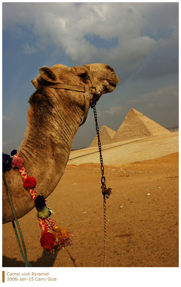 2007-01-15-camel-s1.jpg