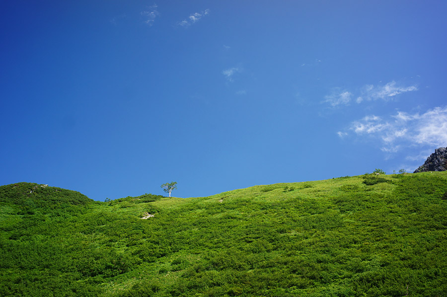 DSC07614forweb.jpg
