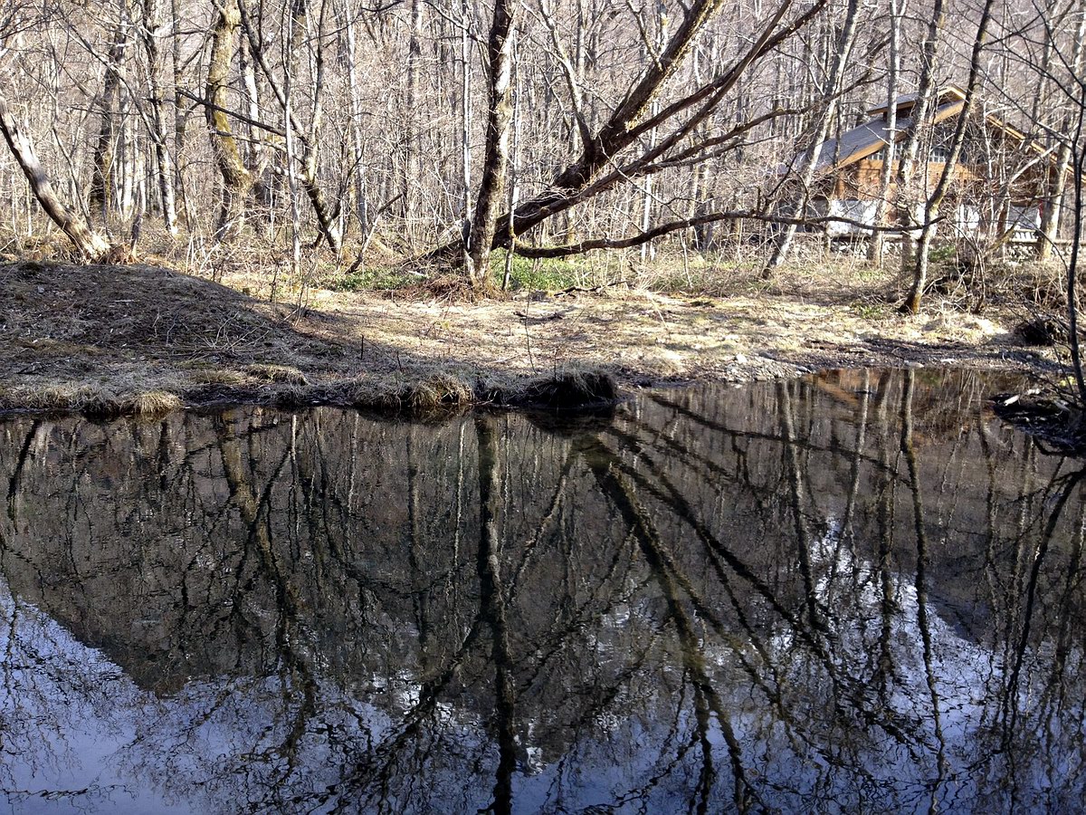 IMG_8140.jpg